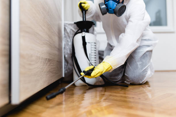 Best Best Pest Control Companies  in St Albans, VT