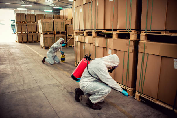 Best Flea Control Services  in St Albans, VT