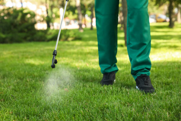 Trusted St Albans, VT Pest Control Experts