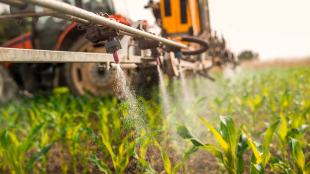Best Ant Control Services  in St Albans, VT